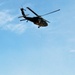 Texas Guardsmen conduct air assault and evacuation training