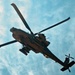 Texas Guardsmen conduct air assault and evacuation training