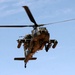 Texas Guardsmen conduct air assault and evacuation training