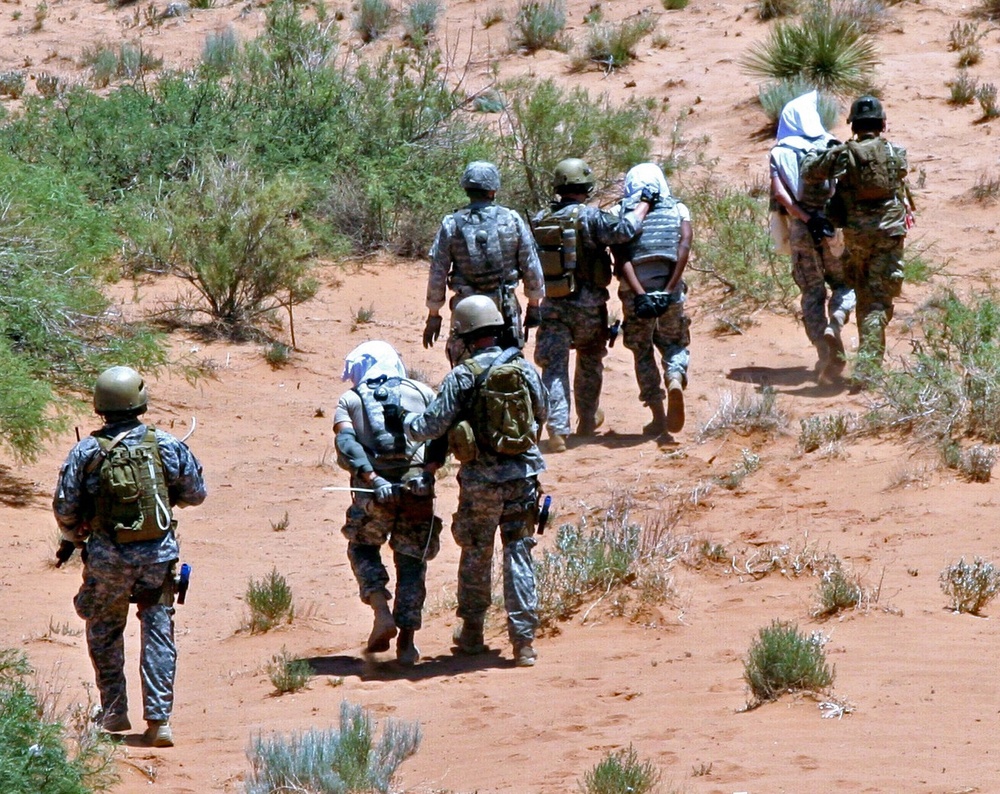 Texas Guardsmen conduct air assault and evacuation training