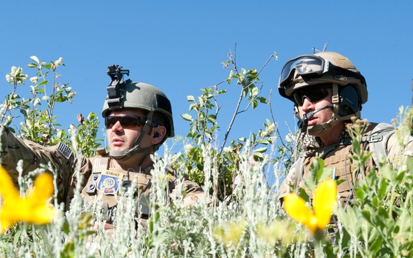 Air Support Operations Squadron trains in Idaho Sawtooth National Forest for potential future deployments to Afghanistan