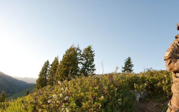 Air Support Operations Squadron trains in Idaho Sawtooth National Forest for potential future deployments to Afghanistan