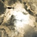 Waldo Canyon Fire in Colorado Springs