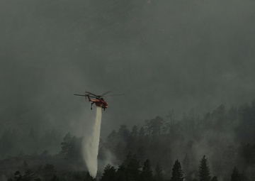 Colorado Waldo Canyon fire