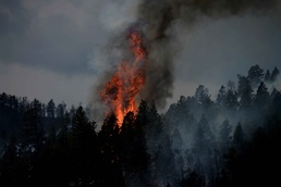 Colorado Waldo Canyon Fire