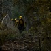 Colorado Waldo Canyon Fire