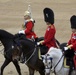 Commandant tours Westminster