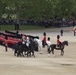 Commandant tours Westminster