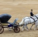 Commandant tours Westminster