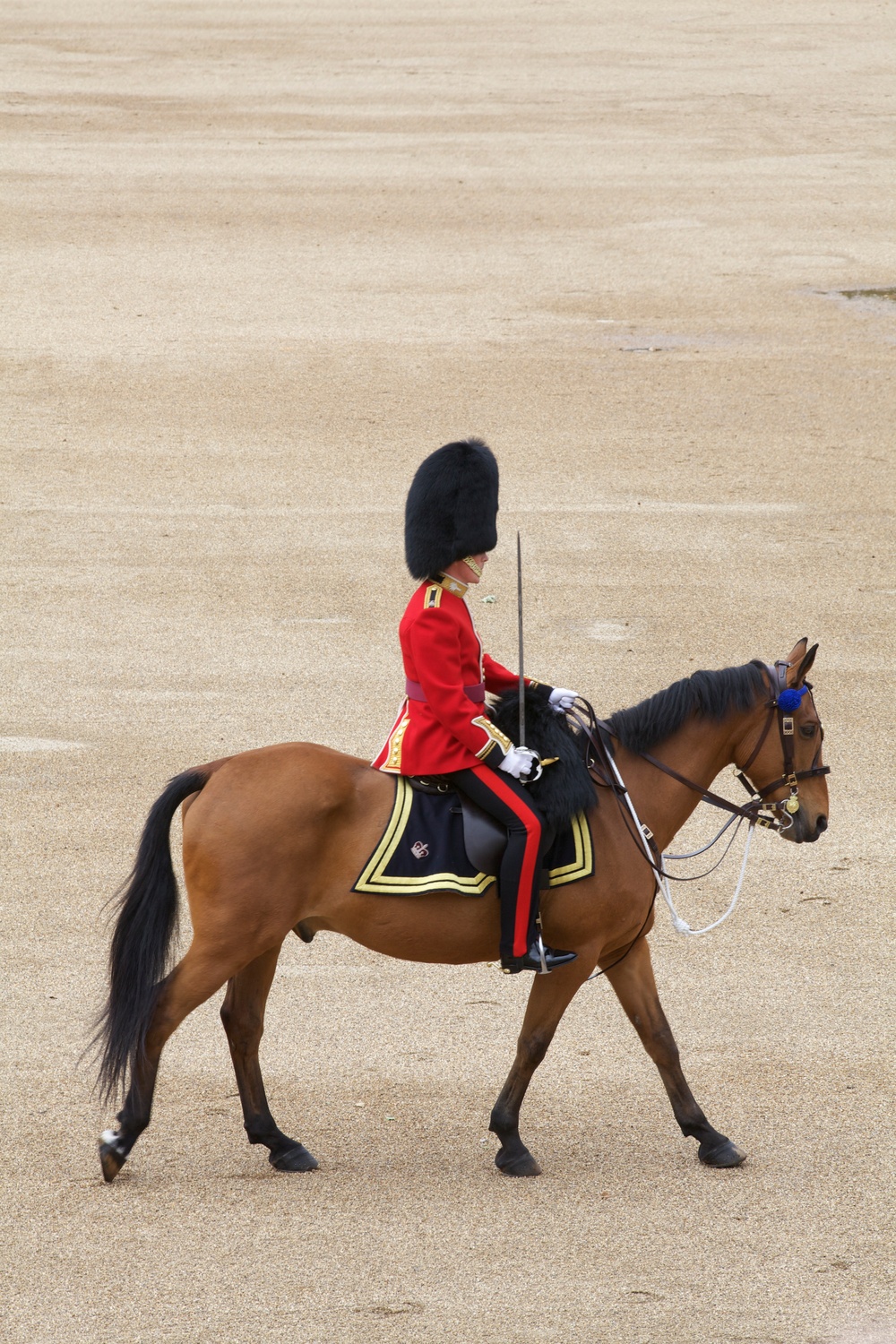 Commandant tours Westminster
