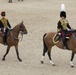 Commandant tours Westminster