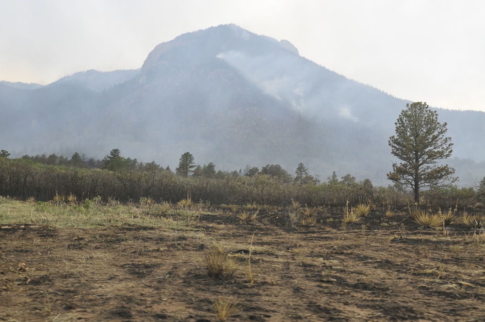 Fort Carson engineers, fire fighters support Waldo Canyon Fire containment