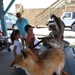 Families explore, learn about animals on base