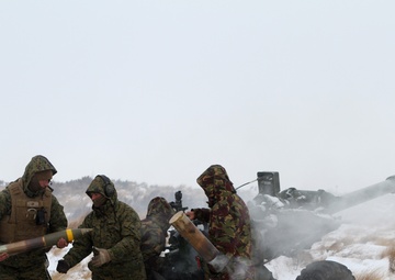 U.S. Marine and New Zealand gunners fire cannons in snowstorm to conclude Exercise Brimstone