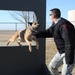 The protectors: working with man's best friend