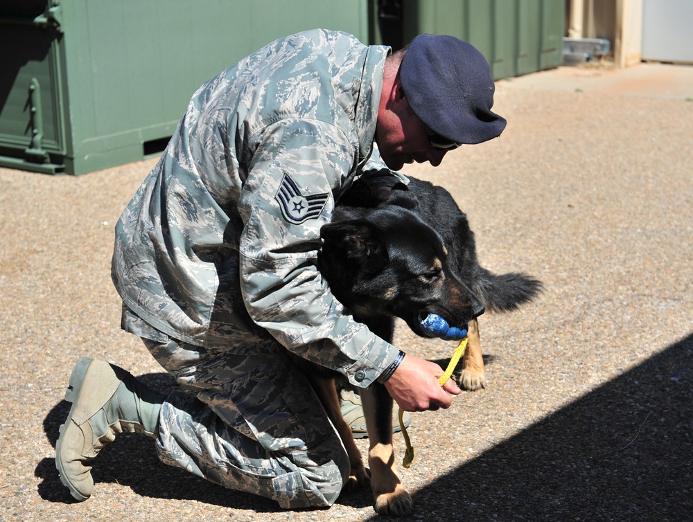 The protectors: working with man's best friend