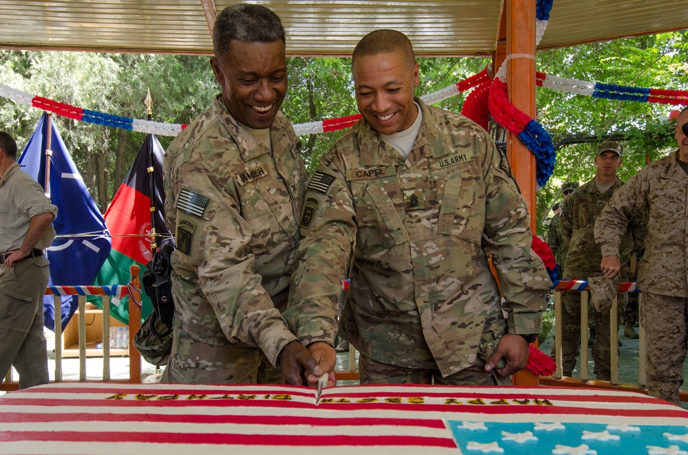 Independence Day cake