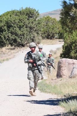 Panther Strike evolves into new animal in 2012