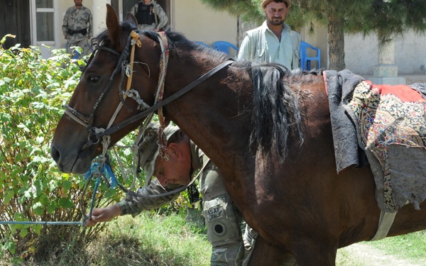 A soldier wearing ISAF (International Security Assistance Force) camouflage uniform is examining or treating the leg/hoof of a brown horse in an outdoor compound. The horse is equipped with a traditional decorative saddle blanket and a rope halter. Several other individuals, including what appears to be a local civilian and armed personnel, are visible in the background near a building.