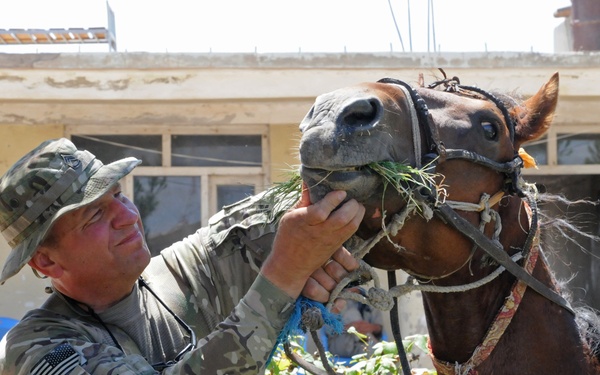 A U.S. Army soldier wearing MultiCam (OCP) camouflage uniform is feeding or examining the mouth of a brown horse in what appears to be a courtyard of a Middle Eastern or Central Asian building. The soldier's name tape reads 'PADGETT' and he wears a U.S. flag patch on his left shoulder along with a rank insignia. The setting suggests a forward operating area or local compound, with blue plastic chairs and a tan-colored building visible in the background.