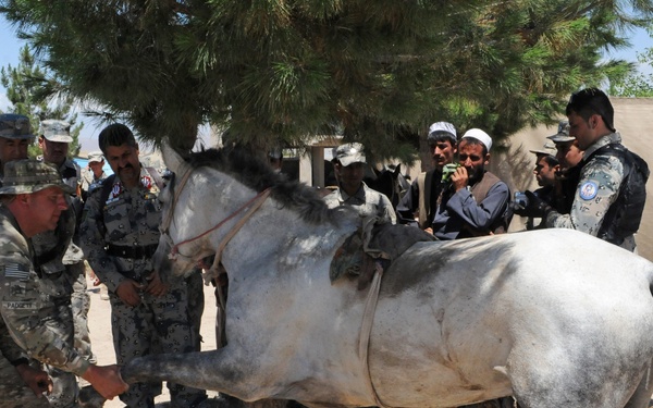 A U.S. military soldier in ACU/MultiCam uniform is examining or treating a gray horse tied to a tree, surrounded by a mixed group of Afghan civilians, Afghan National Police officers, and other U.S. military personnel. The setting appears to be an outdoor compound in Afghanistan, suggesting a veterinary assistance or civil affairs engagement. Multiple observers are watching the interaction closely.