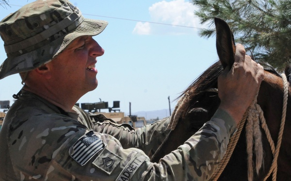 A U.S. Army soldier named Padgett, wearing MultiCam (OCP) camouflage and a boonie hat, is handling a dark brown horse using a rope halter. The setting appears to be a forward operating base or military compound, with multiple Humvee vehicles visible in the background. The environment suggests a deployment in a Middle Eastern or Central Asian region based on the arid landscape and vegetation.