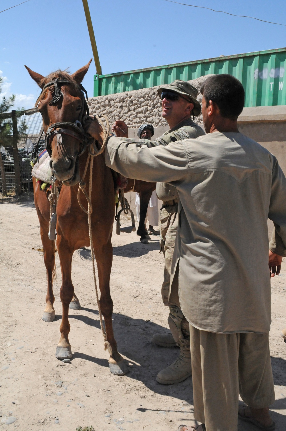 Helping to procure horses in Khawajah Bahawuddin