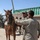 Helping to procure horses in Khawajah Bahawuddin
