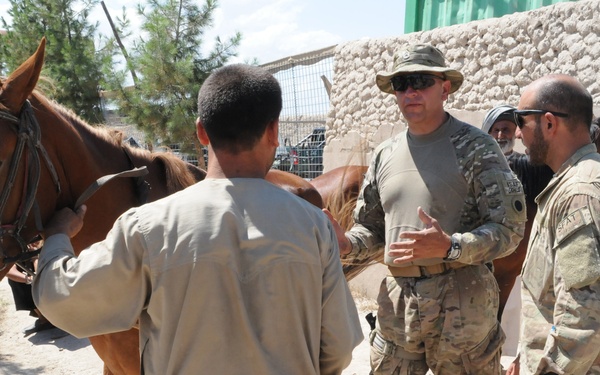 The image shows military personnel in MultiCam/OCP camouflage uniforms interacting with local civilians near a chestnut horse in what appears to be a rural Central Asian or Middle Eastern setting. Two soldiers are engaged in conversation with a civilian who is holding the horse's bridle. The setting includes mud-brick architecture, pine trees, and a dusty unpaved ground consistent with Afghanistan.