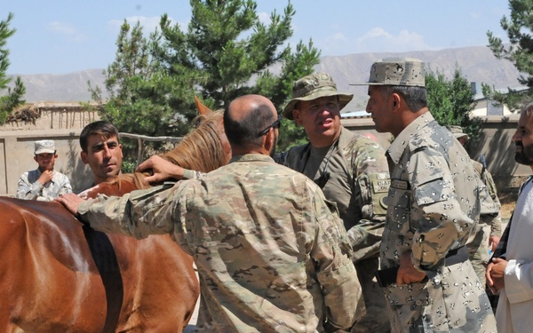 The image shows a group of military personnel and civilians gathered around a chestnut horse in what appears to be an outdoor compound or base. At least one soldier in US Army MultiCam/OCP uniform is present alongside personnel in desert digital camouflage and local civilians. The scene suggests a veterinary assessment or animal inspection activity.