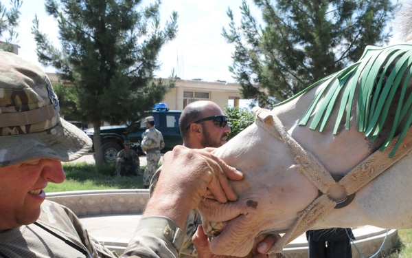 A U.S. Army soldier named Padgett, wearing MultiCam/OCP camouflage uniform, is examining the mouth or teeth of a camel decorated with green fringe. The scene appears to take place at a military installation, likely in Afghanistan or a similar deployment location, with other military personnel visible in the background. The interaction suggests a veterinary assessment or civil affairs engagement involving local livestock.