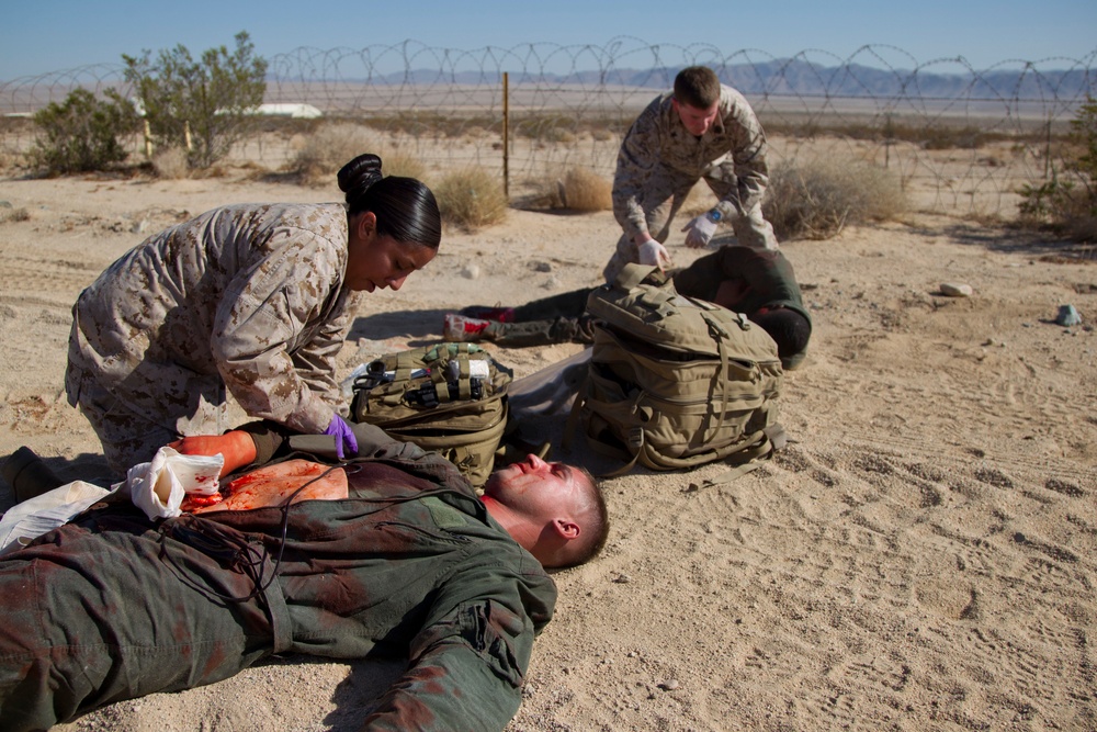 Mass casualty training exercise