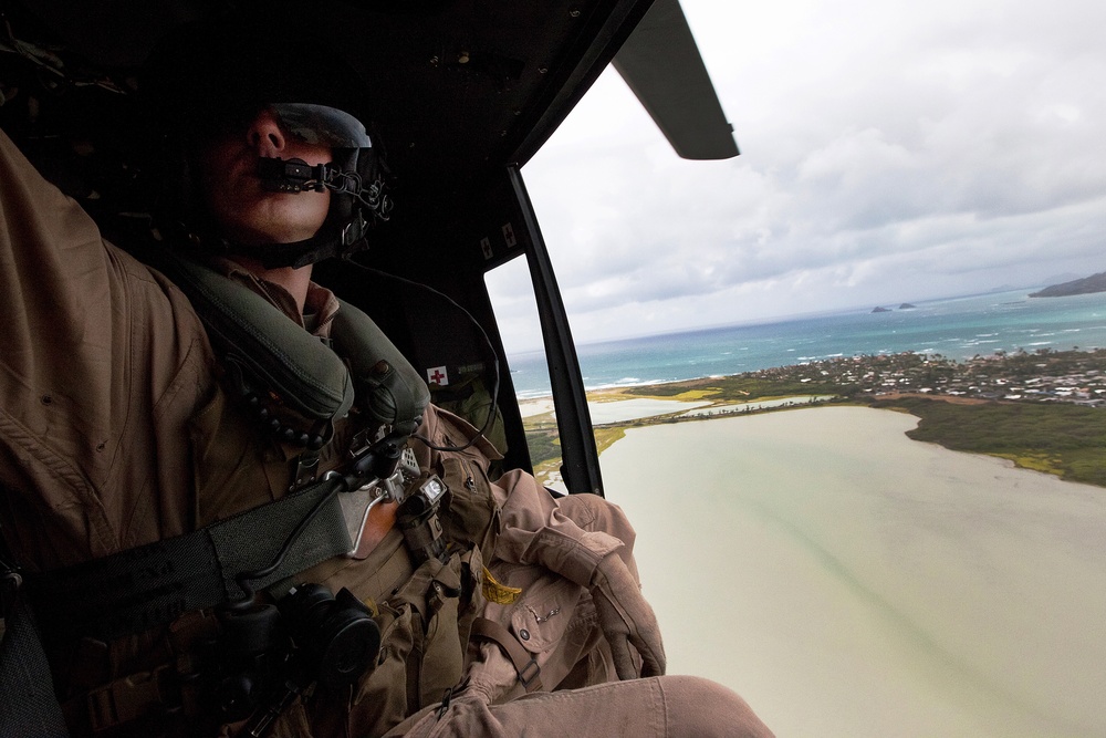 HMH-463, HMLA-169 conduct cross-cockpit training