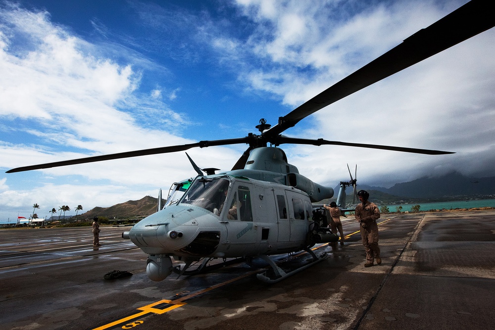 HMH-463, HMLA-169 conduct cross-cockpit training