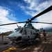 HMH-463, HMLA-169 conduct cross-cockpit training