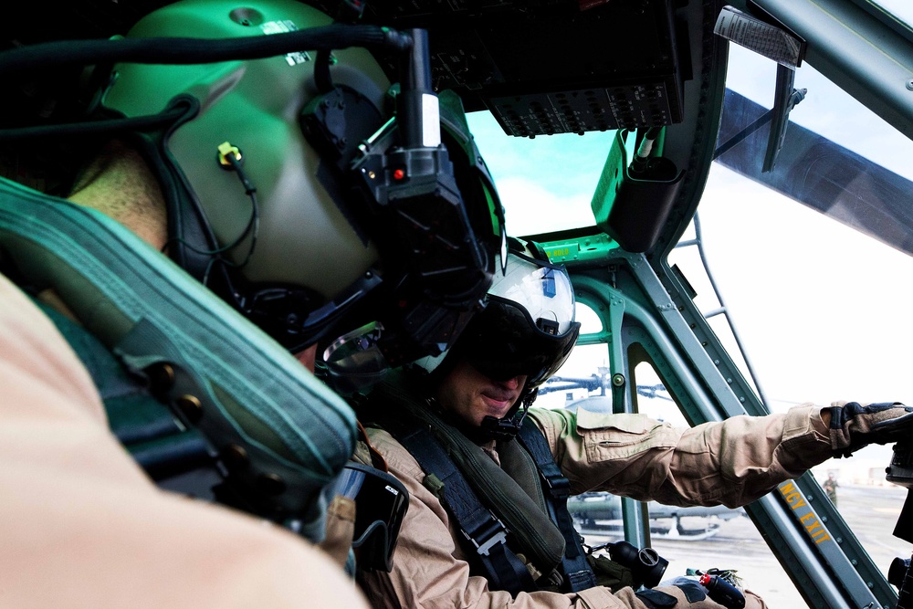 HMH-463, HMLA-169 conduct cross-cockpit training