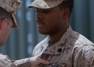 Sailors earn Fleet Marine Force pins aboard Camp Dwyer