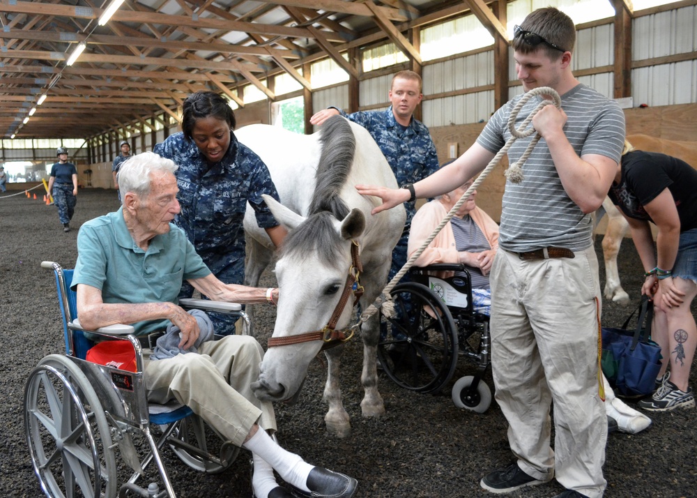 Windrush Farm Therapeutic Equitation