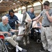 Windrush Farm Therapeutic Equitation