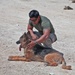 Military working dogs keep their cool during Javelin Thrust 2012