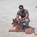 Military working dogs keep their cool during Javelin Thrust 2012