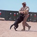 Military working dogs keep their cool during Javelin Thrust 2012