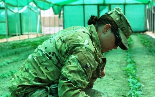 US Army soldier plants seeds in Kandahar province, Afghanistan