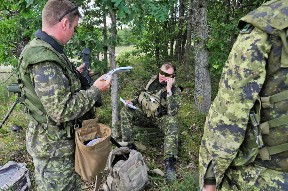 Exercise Northern Strike 2012