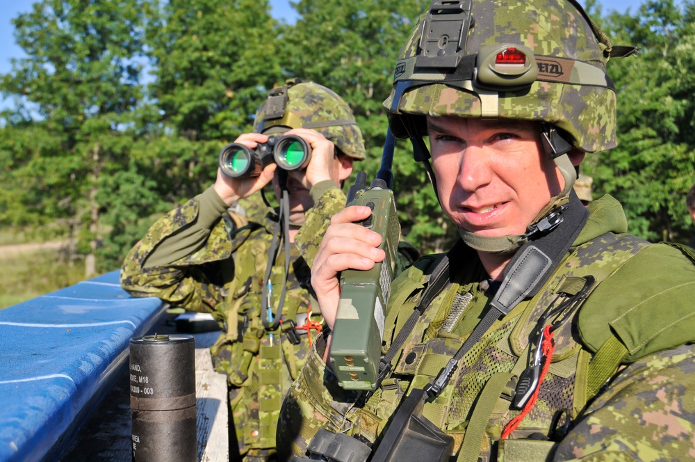 Exercise Northern Strike 2012