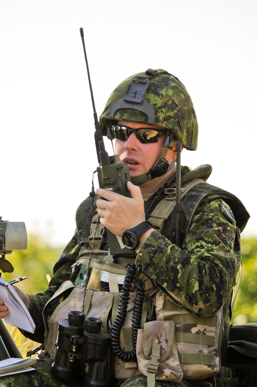 Exercise Northern Strike 2012
