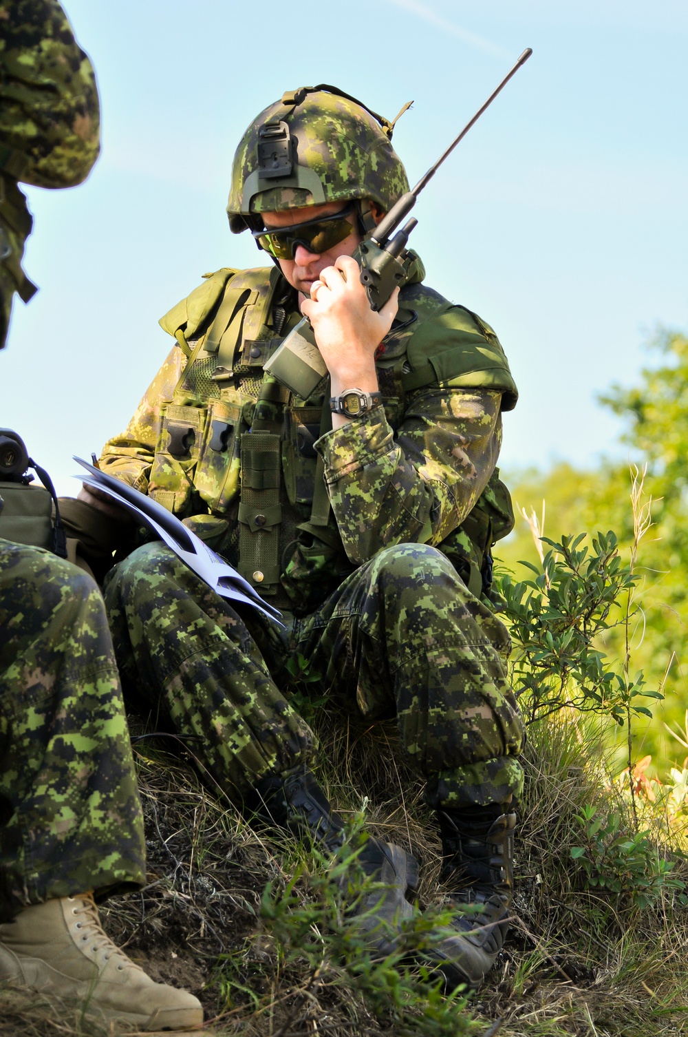 Exercise Northern Strike 2012
