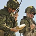 Exercise Northern Strike 2012