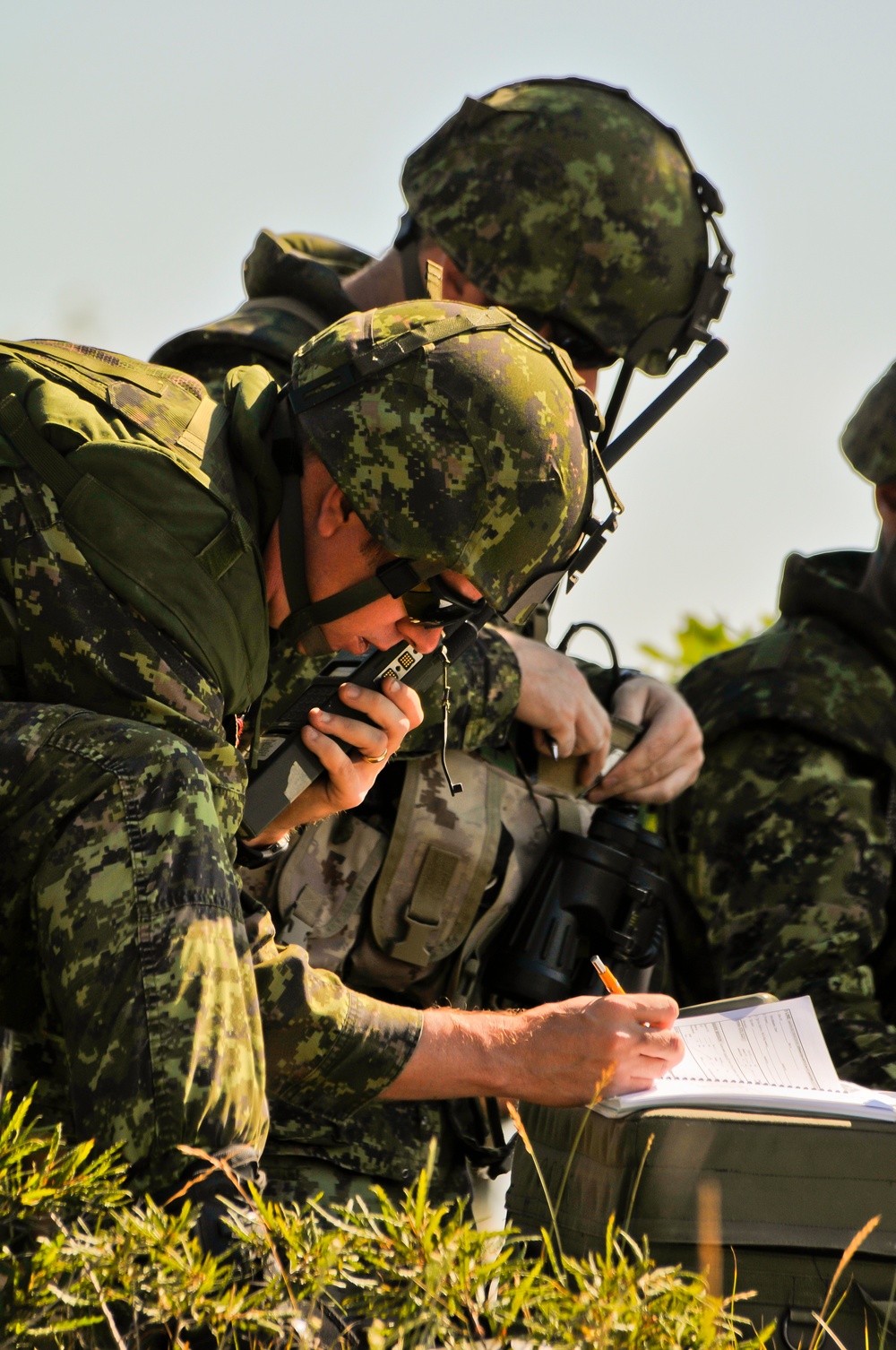 Exercise Northern Strike 2012
