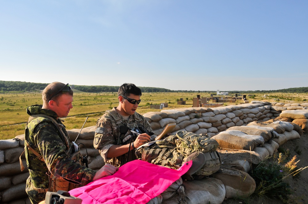 Exercise Northern Strike 2012